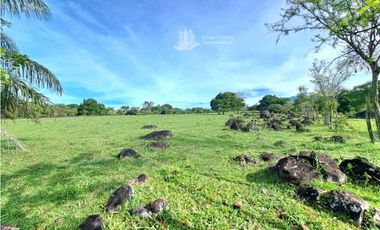 VENDO FINCA DE 120HA GANADERIA-TOP PLANA