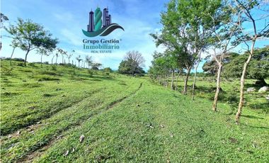 VENDO FINCA DE 120HA GANADERIA-TOP PLANA
