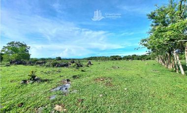 VENDO FINCA DE 120HA GANADERIA-TOP PLANA