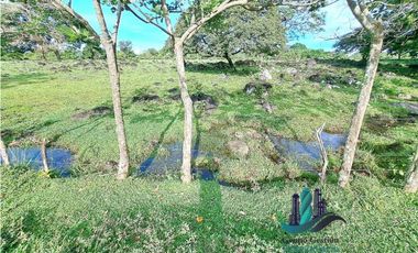 VENDO FINCA DE 120HA GANADERIA-TOP PLANA