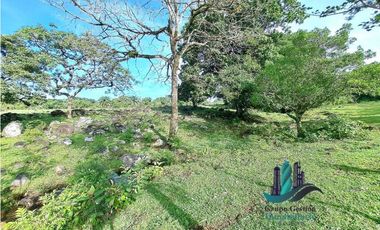 VENDO FINCA DE 120HA GANADERIA-TOP PLANA