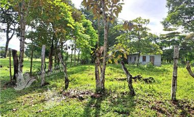 VENDO FINCA DE 120HA GANADERIA-TOP PLANA