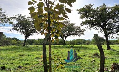 VENDO FINCA DE 120HA GANADERIA-TOP PLANA