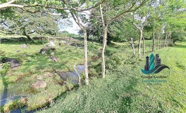 VENDO FINCA DE 120HA GANADERIA-TOP PLANA