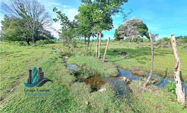 VENDO FINCA DE 120HA GANADERIA-TOP PLANA