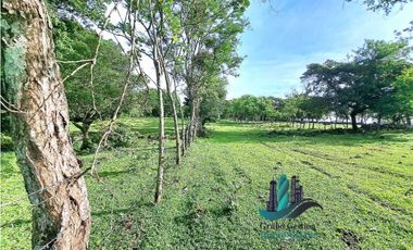 VENDO FINCA DE 120HA GANADERIA-TOP PLANA