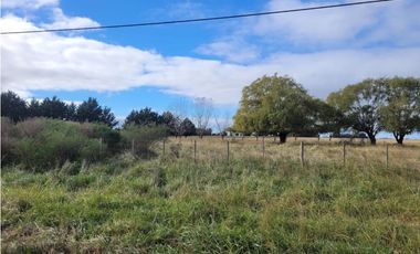 VENTA DE IMPORTANTE LOTE QUINTA DE CASI 4 HECTAREAS EN VIDAL