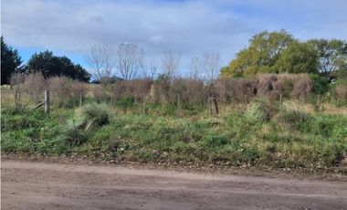 VENTA DE IMPORTANTE LOTE QUINTA DE CASI 4 HECTAREAS EN VIDAL