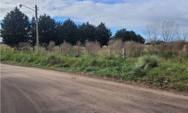 VENTA DE IMPORTANTE LOTE QUINTA DE CASI 4 HECTAREAS EN VIDAL