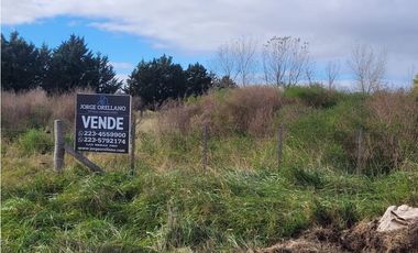 VENTA DE IMPORTANTE LOTE QUINTA DE CASI 4 HECTAREAS EN VIDAL