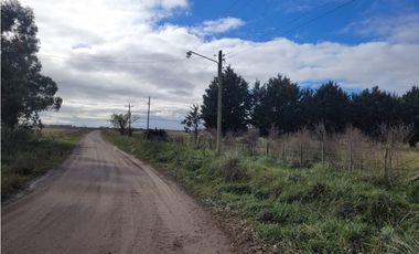 VENTA DE IMPORTANTE LOTE QUINTA DE CASI 4 HECTAREAS EN VIDAL