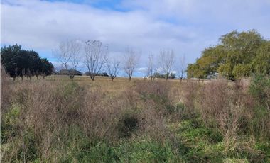 VENTA DE IMPORTANTE LOTE QUINTA DE CASI 4 HECTAREAS EN VIDAL