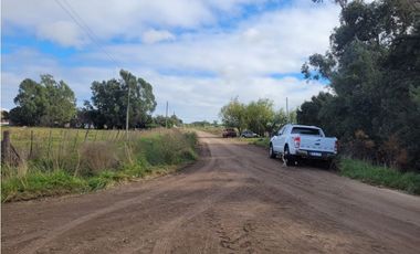 VENTA DE IMPORTANTE LOTE QUINTA DE CASI 4 HECTAREAS EN VIDAL