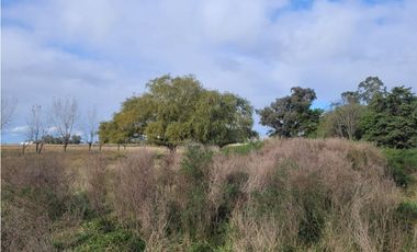 VENTA DE IMPORTANTE LOTE QUINTA DE CASI 4 HECTAREAS EN VIDAL