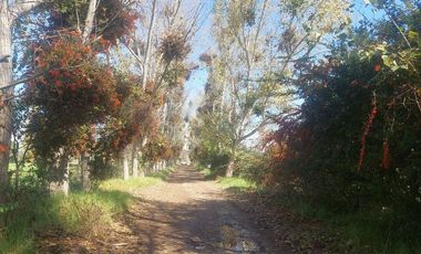 Oportunidad de parcela en Bollenar con linda casa estilo Georgian en excelente estado