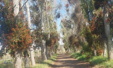 Oportunidad de parcela en Bollenar con linda casa estilo Georgian en excelente estado