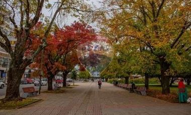 Propiedad Comercial Osorno