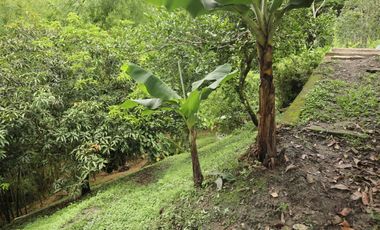VENDO FINCA EN NOCAIMA CUND