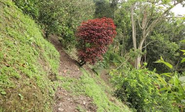 VENDO FINCA EN NOCAIMA CUND