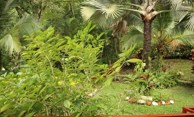 VENDO FINCA EN NOCAIMA CUND