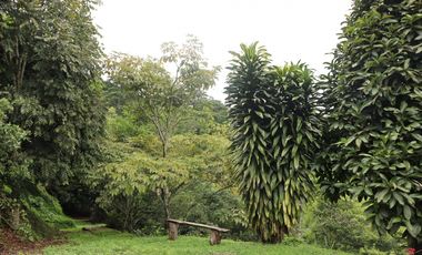 VENDO FINCA EN NOCAIMA CUND