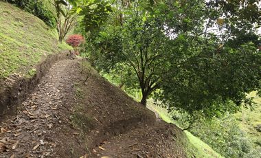 VENDO FINCA EN NOCAIMA CUND