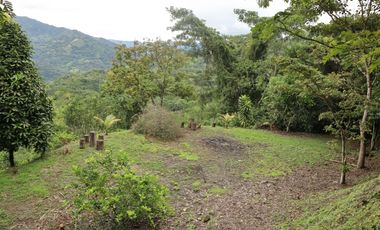 VENDO FINCA EN NOCAIMA CUND