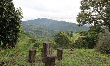 VENDO FINCA EN NOCAIMA CUND