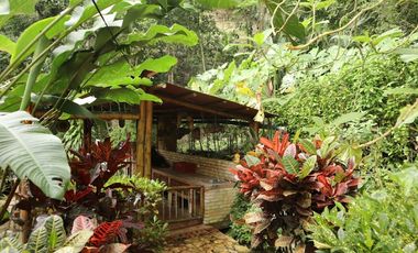 VENDO FINCA EN NOCAIMA CUND