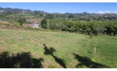 VENDO FINCA EN SAN VICENTE 10 MIL METROS CASA SENCILLA CH