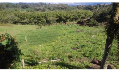 VENDO FINCA EN SAN VICENTE 10 MIL METROS CASA SENCILLA CH