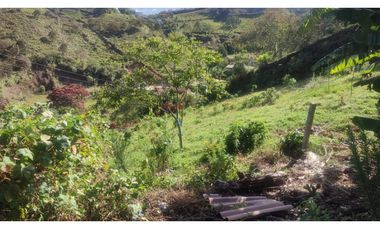 VENDO FINCA EN SAN VICENTE 10 MIL METROS CASA SENCILLA CH