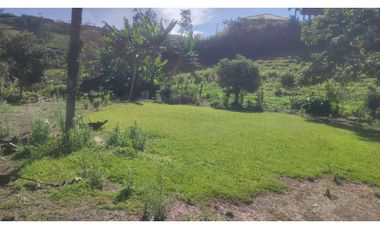 VENDO FINCA EN SAN VICENTE 10 MIL METROS CASA SENCILLA CH