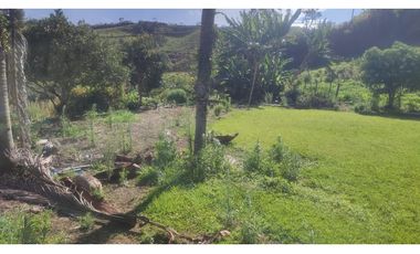 VENDO FINCA EN SAN VICENTE 10 MIL METROS CASA SENCILLA CH