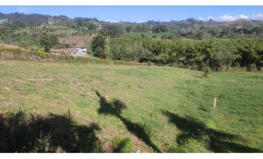 VENDO FINCA EN SAN VICENTE 10 MIL METROS CASA SENCILLA CH