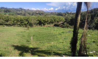 VENDO FINCA EN SAN VICENTE 10 MIL METROS CASA SENCILLA CH