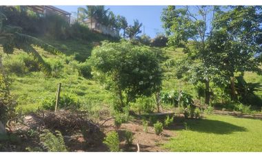 VENDO FINCA EN SAN VICENTE 10 MIL METROS CASA SENCILLA CH
