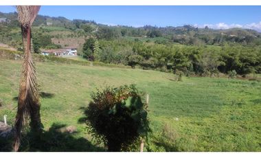 VENDO FINCA EN SAN VICENTE 10 MIL METROS CASA SENCILLA CH