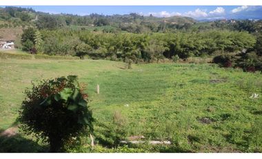 VENDO FINCA EN SAN VICENTE 10 MIL METROS CASA SENCILLA CH