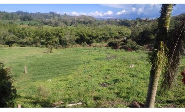 VENDO FINCA EN SAN VICENTE 10 MIL METROS CASA SENCILLA CH