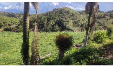 VENDO FINCA EN SAN VICENTE 10 MIL METROS CASA SENCILLA CH