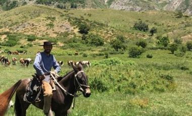 Agrícola en Venta en Sector Curillinque