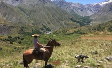 Agrícola en Venta en Sector Curillinque