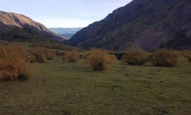 Agrícola en Venta en Sector Curillinque