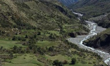 Agrícola en Venta en Sector Curillinque