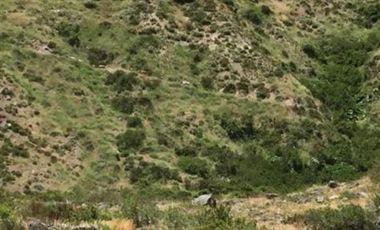 Parcela en Venta en Sector Curillinque