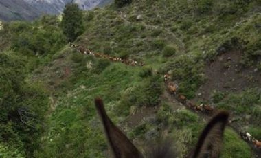 Parcela en Venta en Sector Curillinque