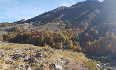 Parcela en Venta en Sector Curillinque