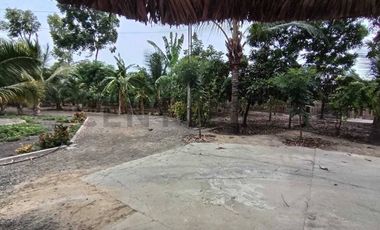 TERRENO DE OPORTUNIDAD PARA GRANDES EVENTOS