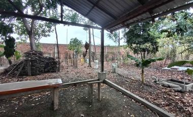 TERRENO DE OPORTUNIDAD PARA GRANDES EVENTOS